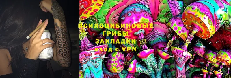 Псилоцибиновые грибы Psilocybe  Бирюсинск 